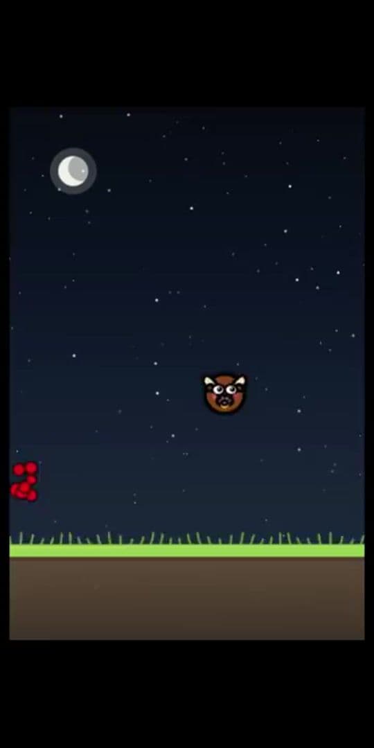 Animmo